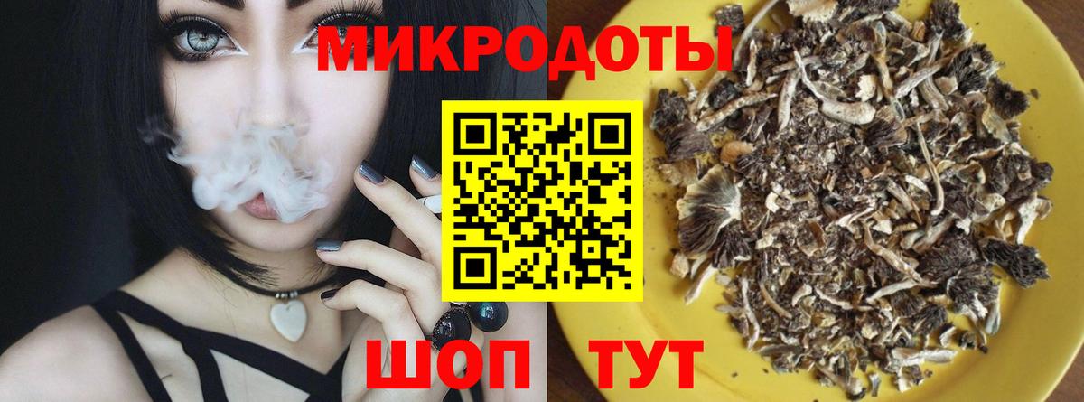 Губкин  Галлюциногенные грибы Magic Shrooms  Вход с VPN  Галлюциногенные грибы Magic Shrooms 